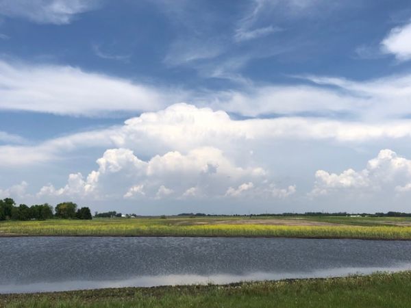 linder farm network radar